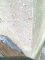 castlepark gate -  19920.jpg